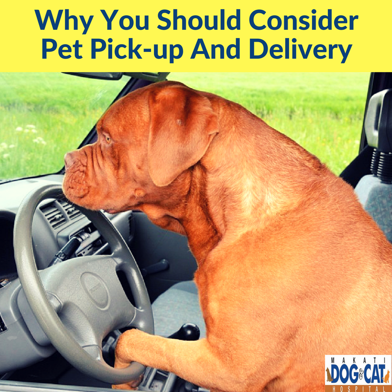 pet pickup and delivery makati