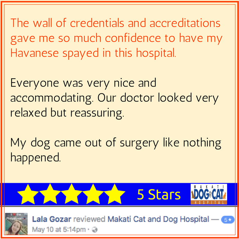 makati dog and cat hospital reviews