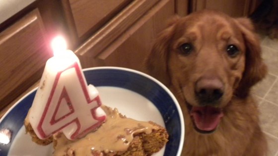 Dog Friendly Birthday Cake