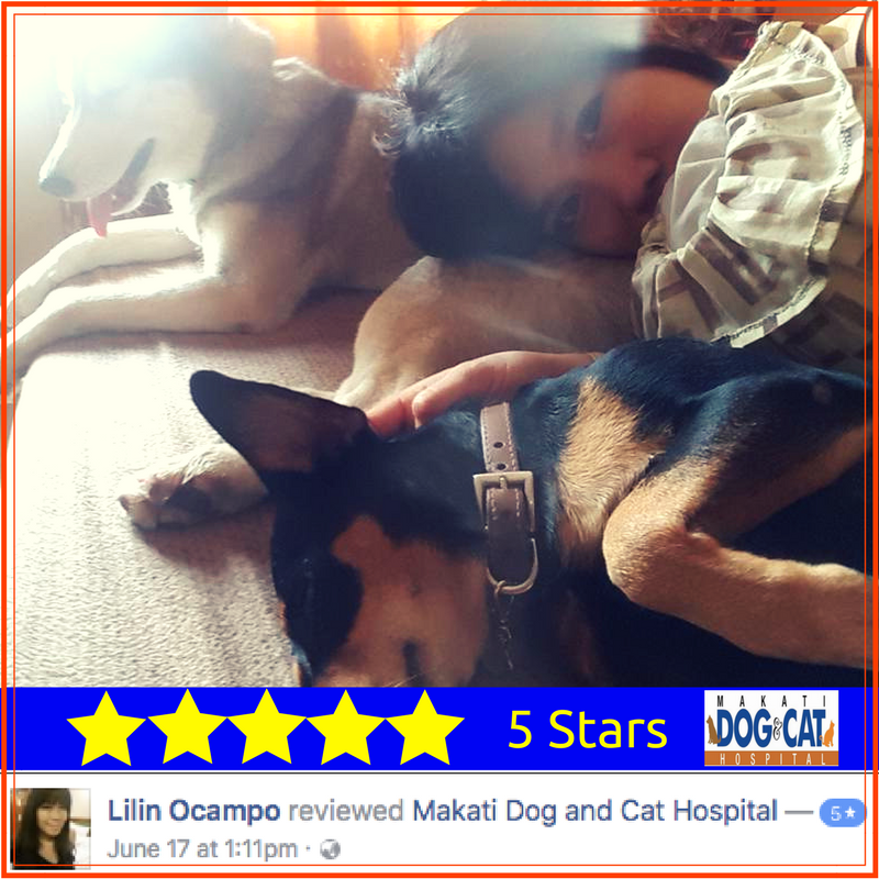 Makati Dog and Cat Hospital Reviews