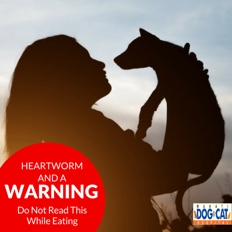 Heartworm and A Warning Do Not Read While Eating