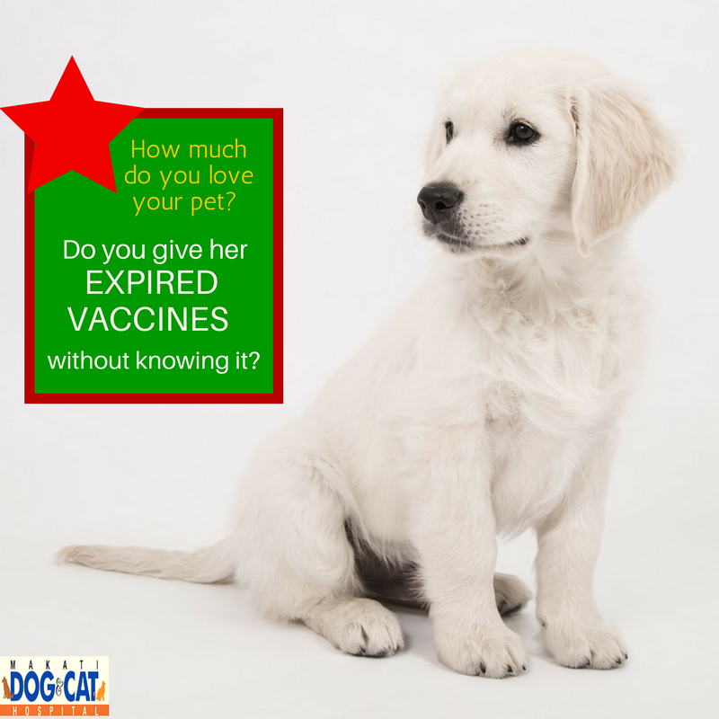 expired pet vaccines philippines
