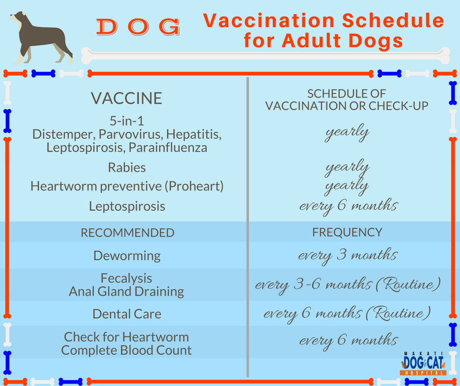 pet vaccination schedule