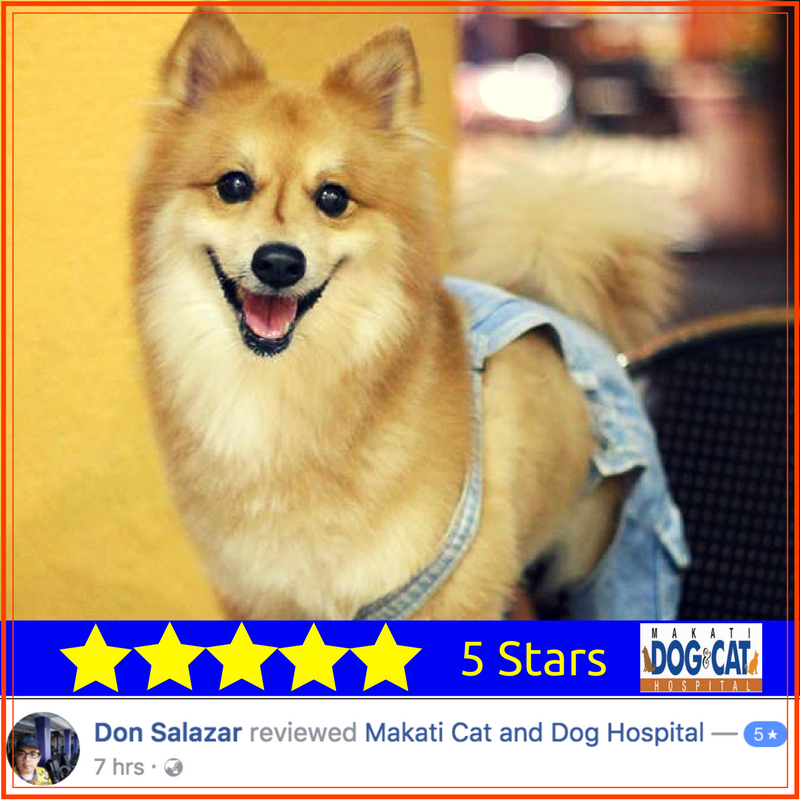 makati dog and cat hospital reviews