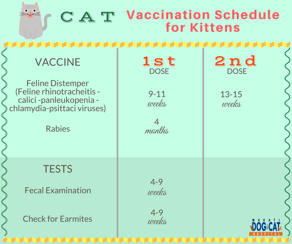 cat vaccination schedule philippines
