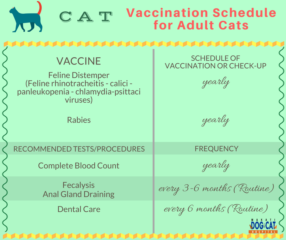 4 in 1 vaccine cats