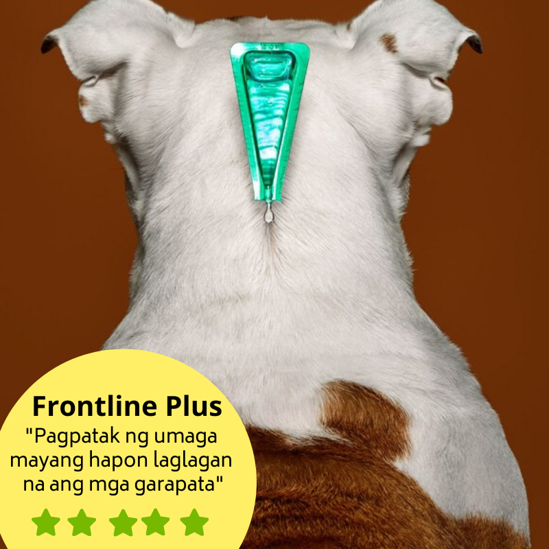 Frontline Plus Flea and Tick Control 
