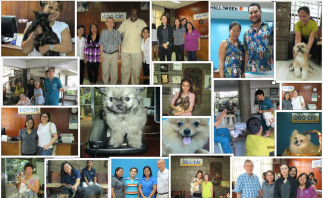 Pet owner