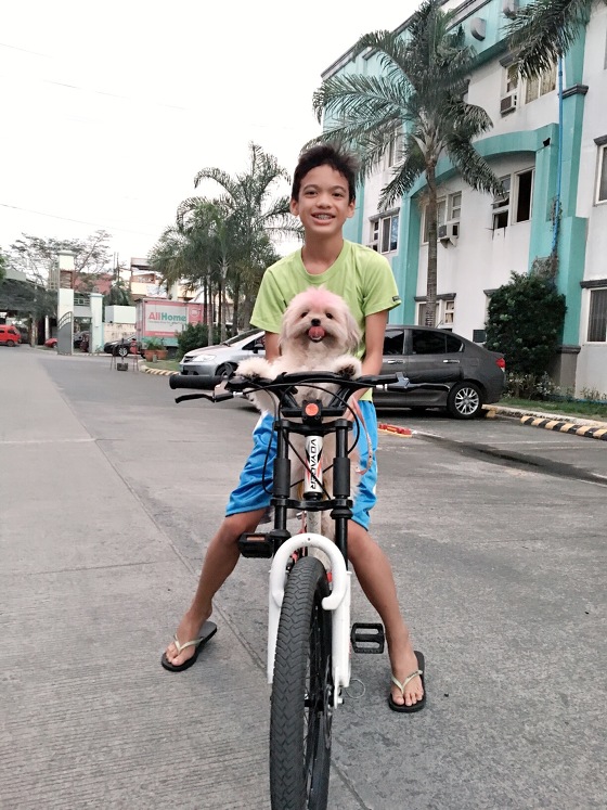 animal clinic kalayaan makati