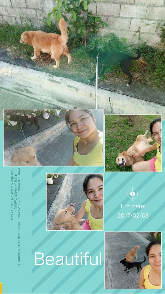 pet hospital mandaluyong