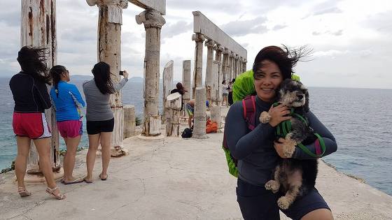 pet hospital mandaluyong