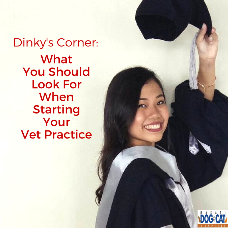 vet practice